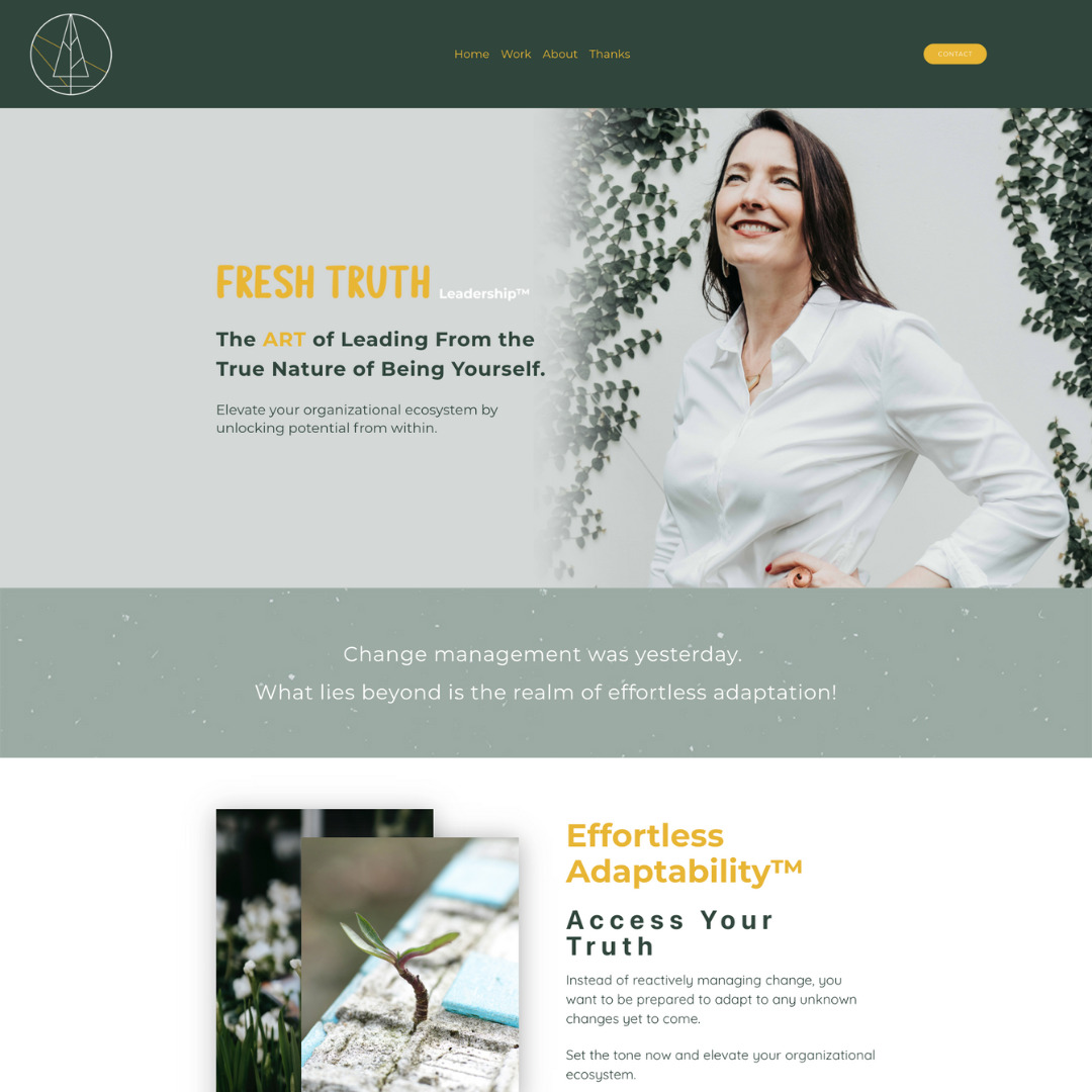 Fresh Truth Leadership